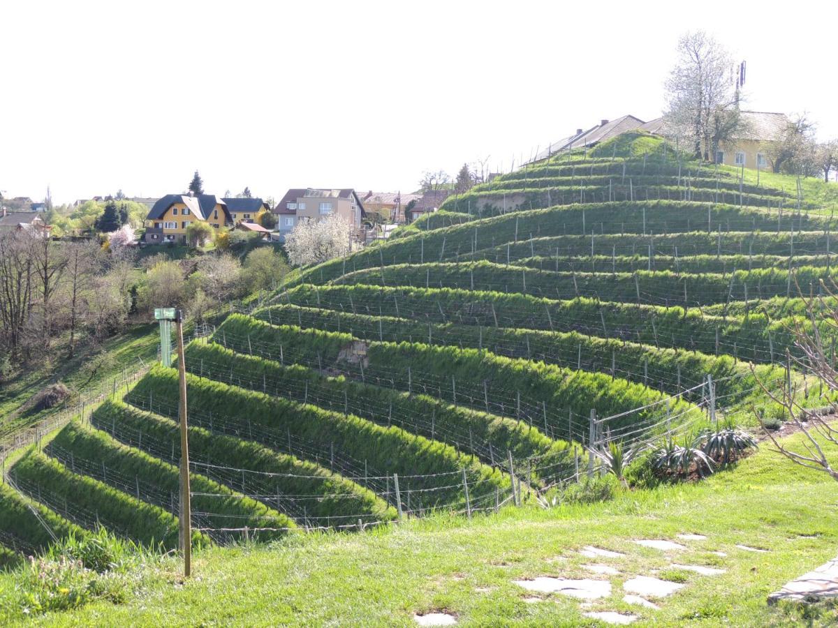 Weingut Albert, Familie Cramer Kitzeck im Sausal Exterior foto