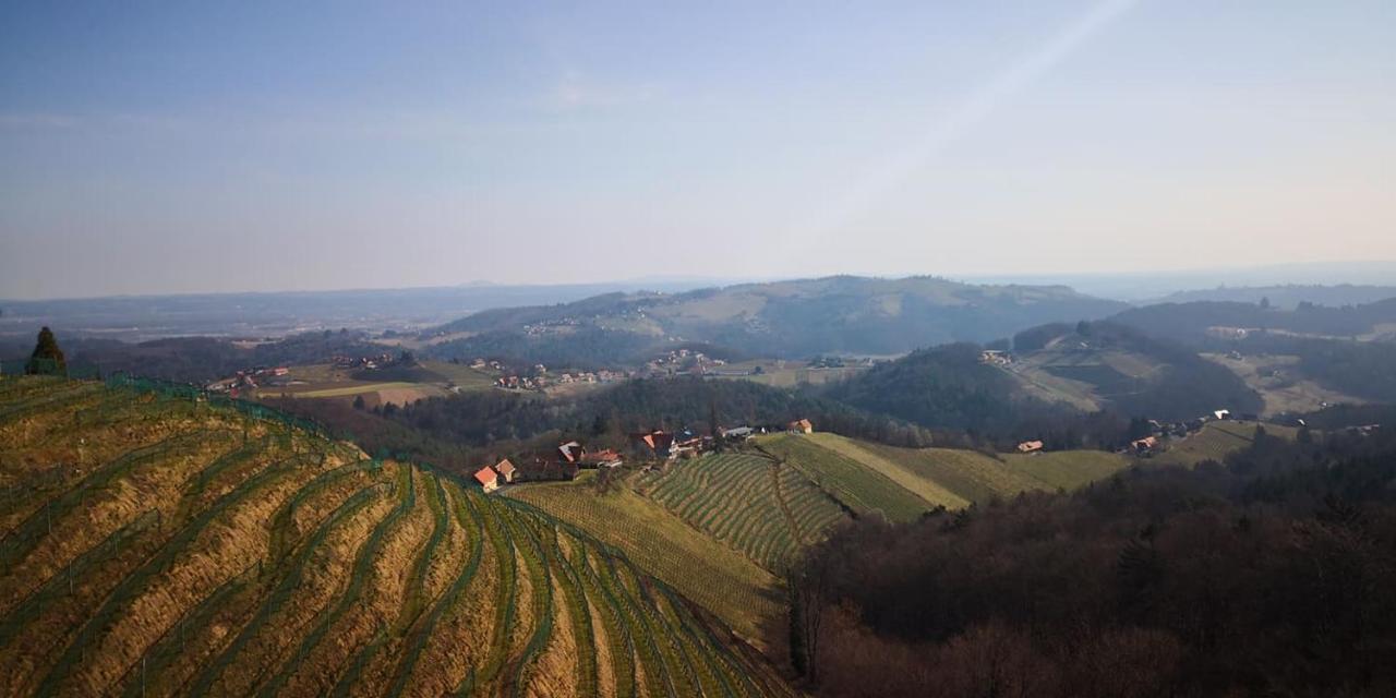 Weingut Albert, Familie Cramer Kitzeck im Sausal Exterior foto