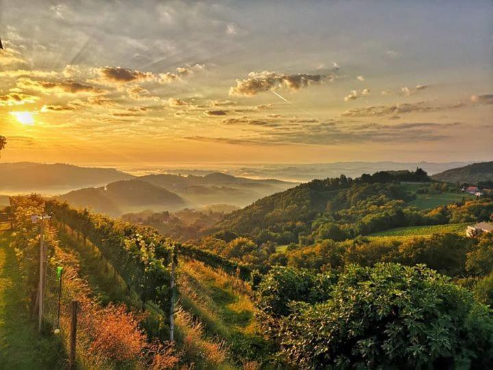 Weingut Albert, Familie Cramer Kitzeck im Sausal Exterior foto